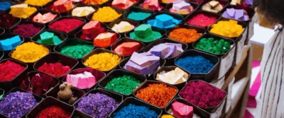 Bear France : Entreprises, marchés financiers et spécificités hexagonales